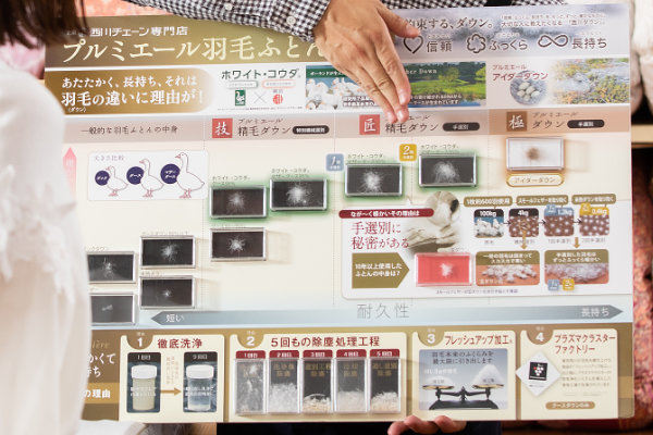 寝具専門店もりたけの店頭で、スタッフが専用のパネルを用いてダックとグースの羽毛（ダウン）の違いを解説している画像。ダウンの粒が大きく弾力性に富んだ「本物のグース」は、少量でもたっぷりと空気を含み、ふんわりと優しく馴染む「軽くて暖かい」理想の寝心地が叶います。西川チェーン専門店限定モデルとして厳選された、別格の暖かさをご体感いただけます。